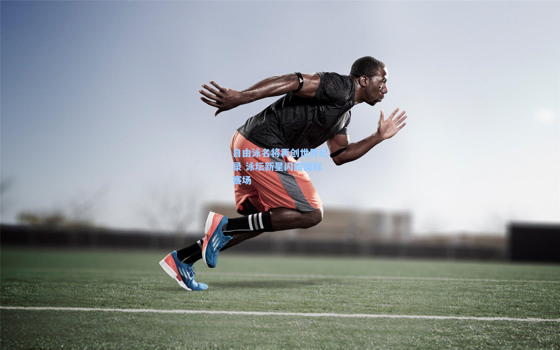 自由泳名将再创世界纪录 泳坛新星闪耀国际赛场